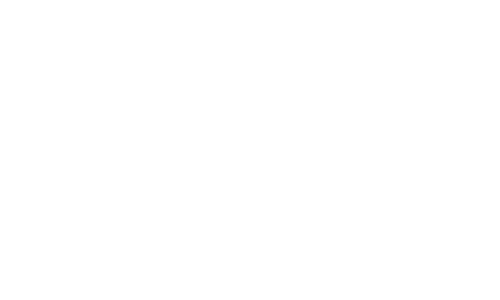 LOGO NEW PROCOND ELETTRONICA 500x300 MONOCROMATICO BIANCO