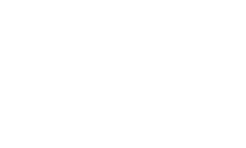 Logo MECCANOSTAMPI 500x300 MONOCROMATICO BIANCO