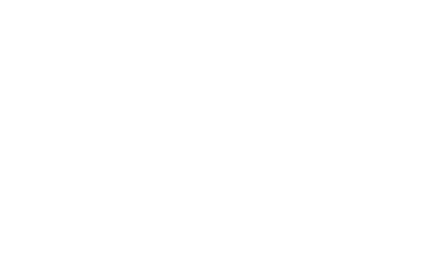 Logo VIEL ANTINCENDI 500x300 MONOCROMATICO BIANCO